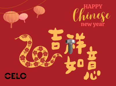 Celebrating Chinese New Year 2025